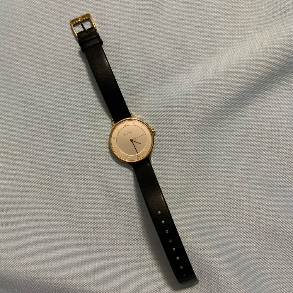 Skagen Leather and Gold Women’s Watch